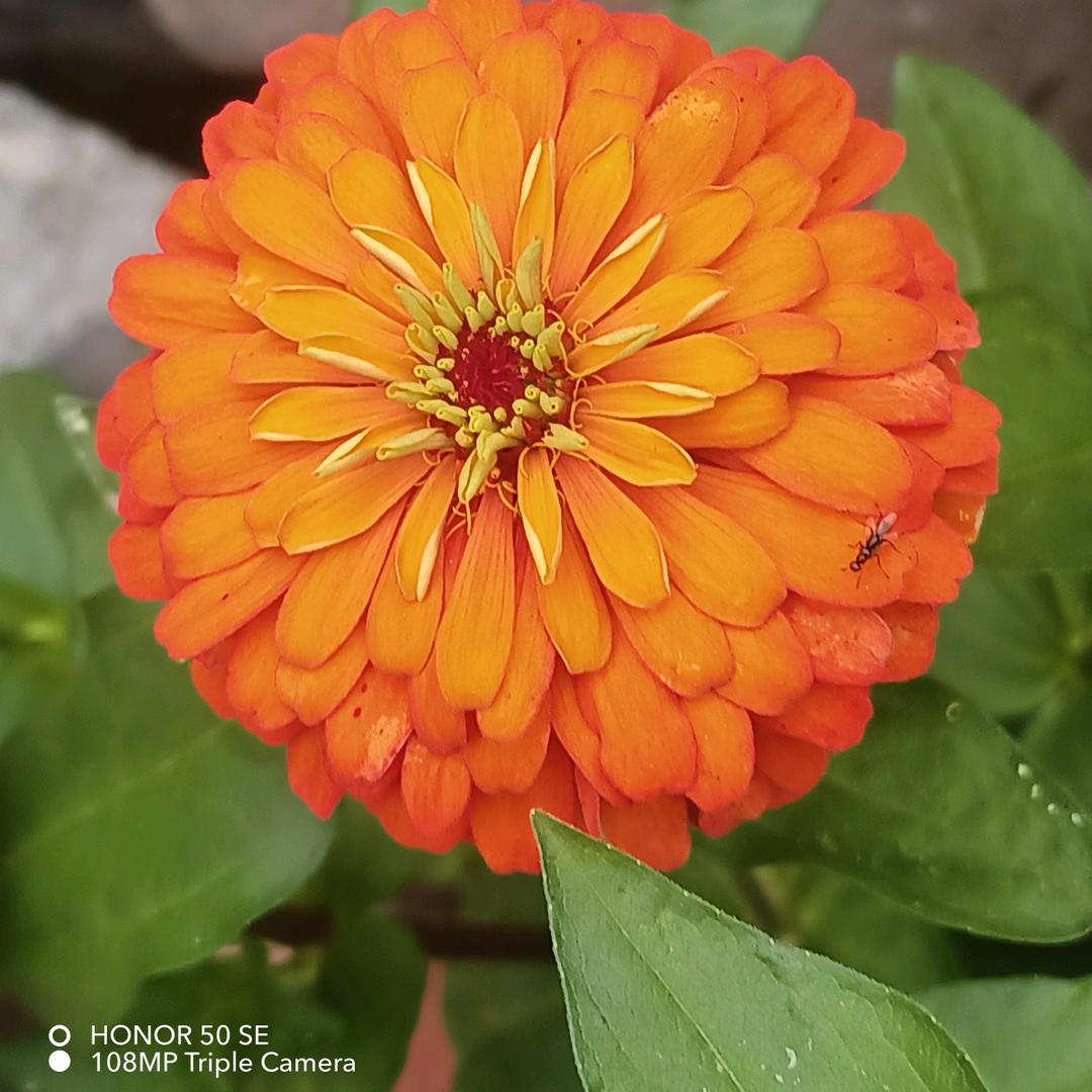 幸福快乐到永远🌼🌼🌼