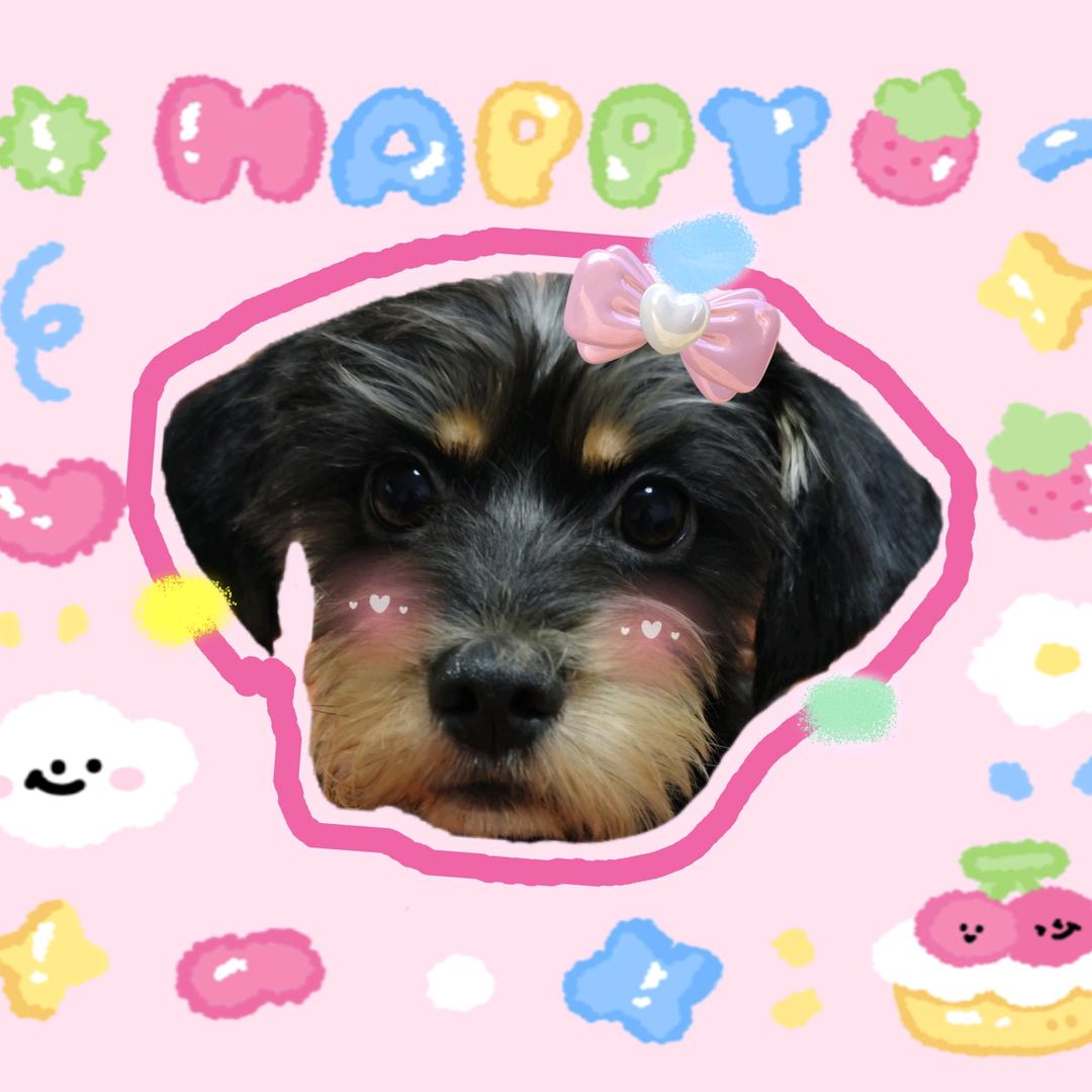 G:💕