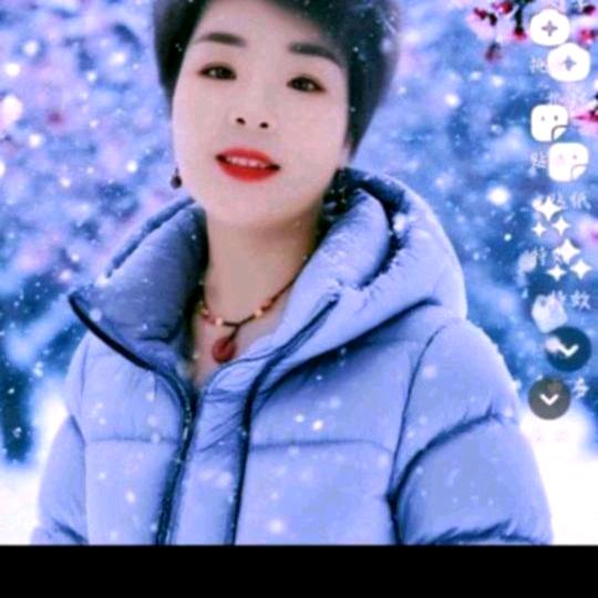 🌸🌺灵儿