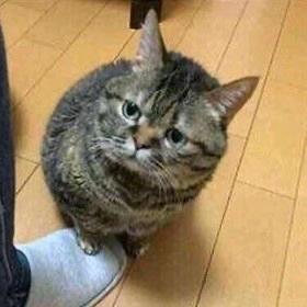 我感觉很难受zZ