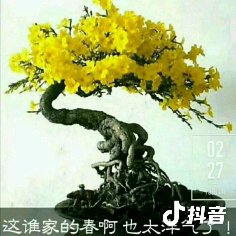 吉祥