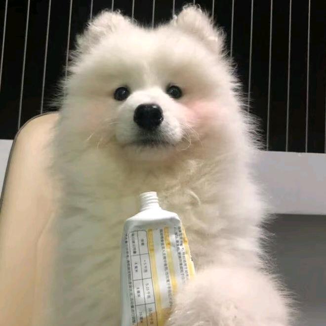^O^茶色^O^🤗