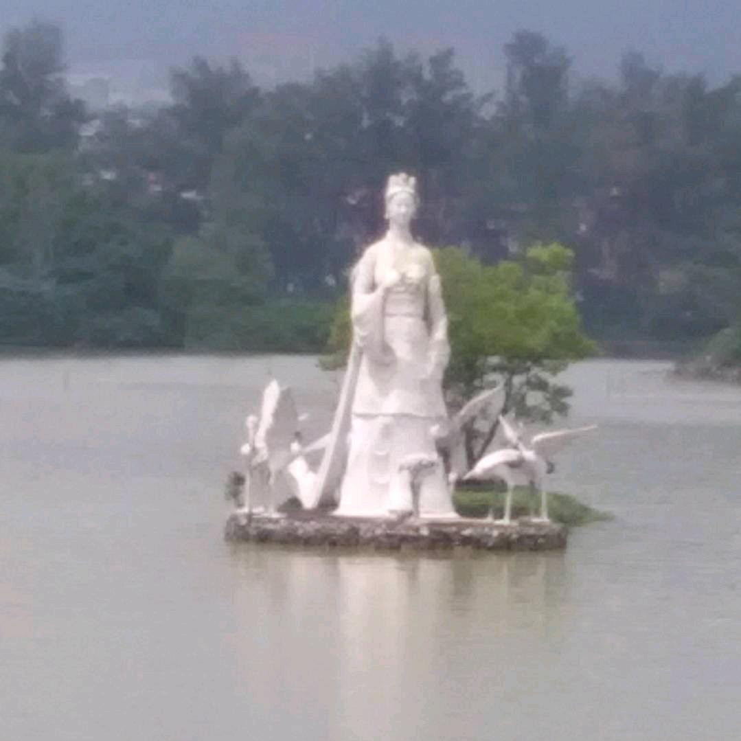风雨☔️同舟