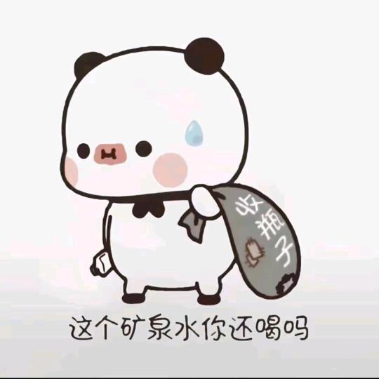 熊🐻