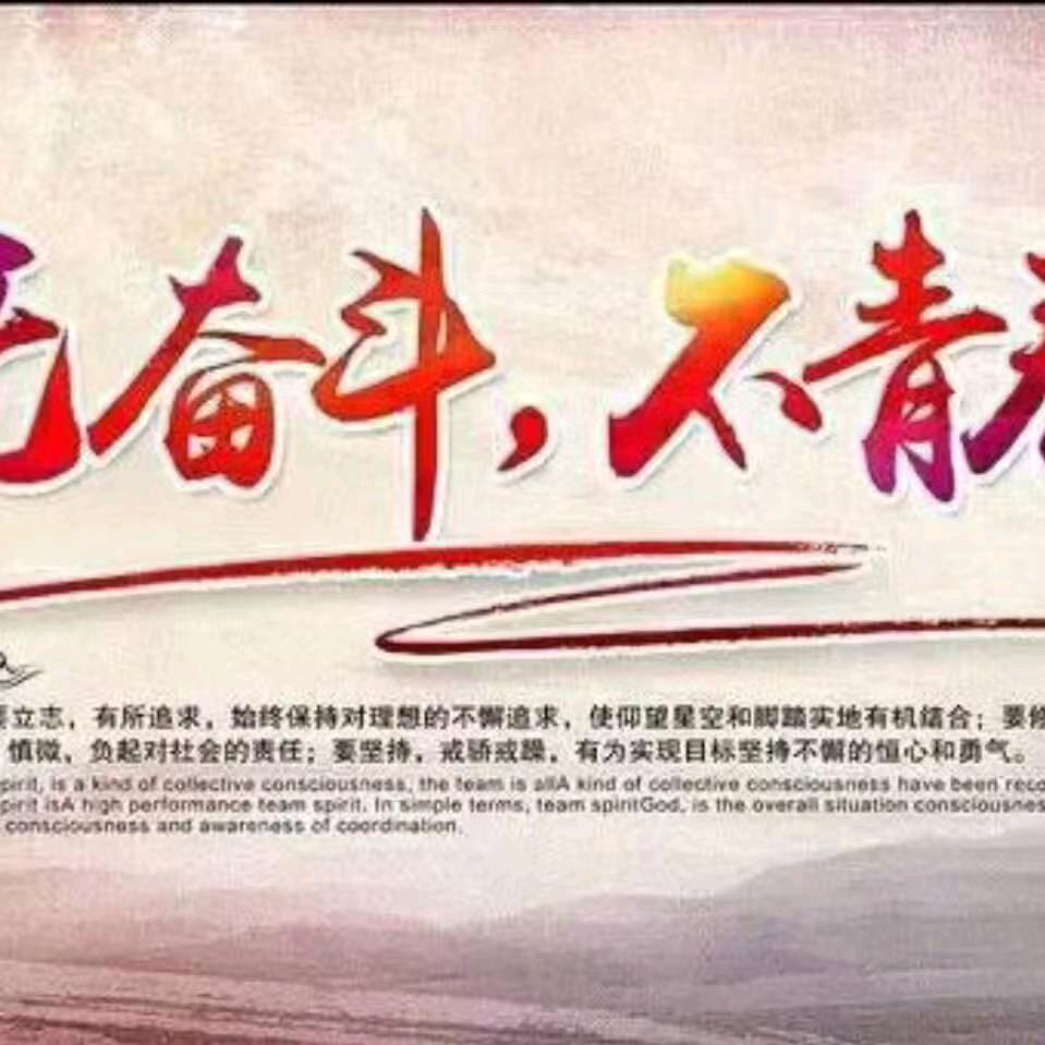 蛋禽行情-成龙