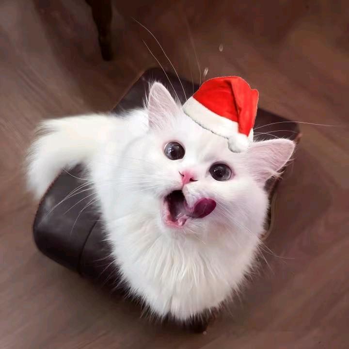 如果。