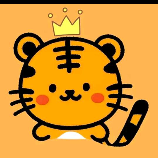 书文211🐯
