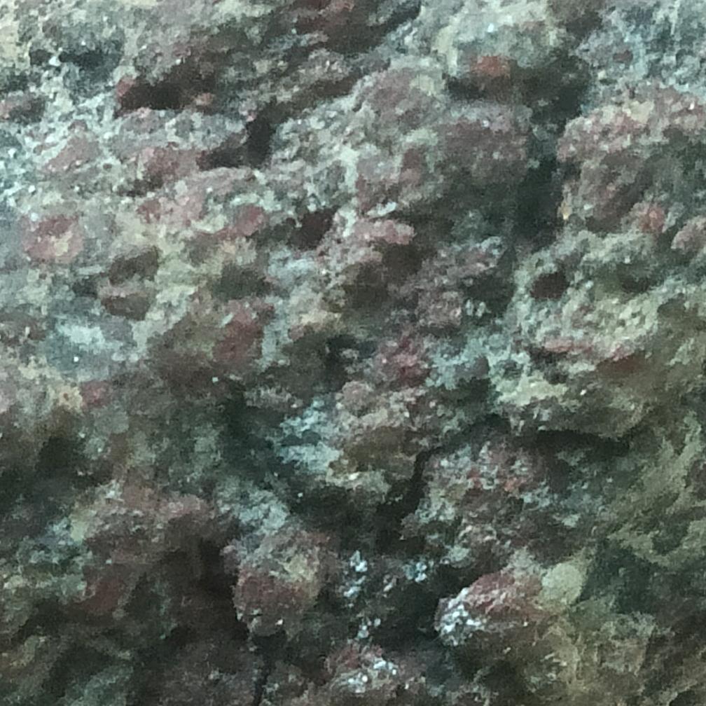 望了一切   （忘了我）