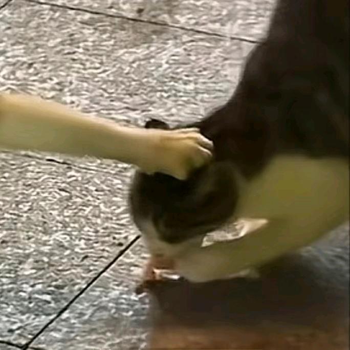 𝙗𝙡𝙪𝙚