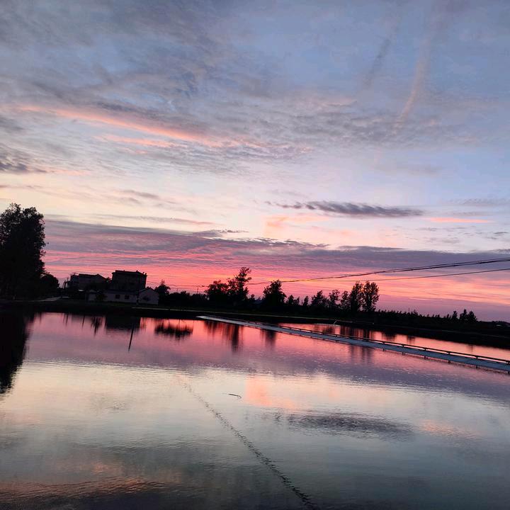 最熟悉的陌生人