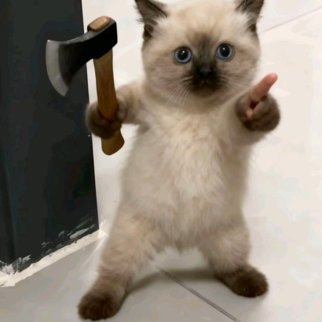 骑着尼罗鳄追坦克（三角洲行动）