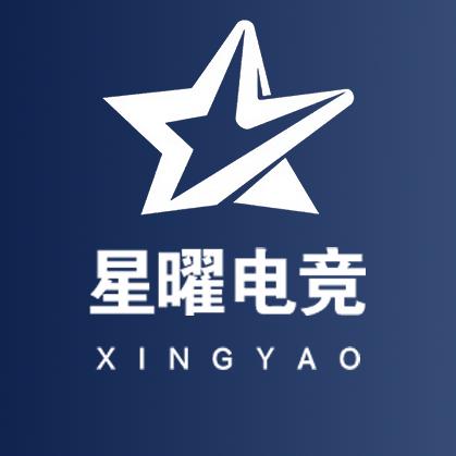 星曜电竞俱乐部（个体工商户）
