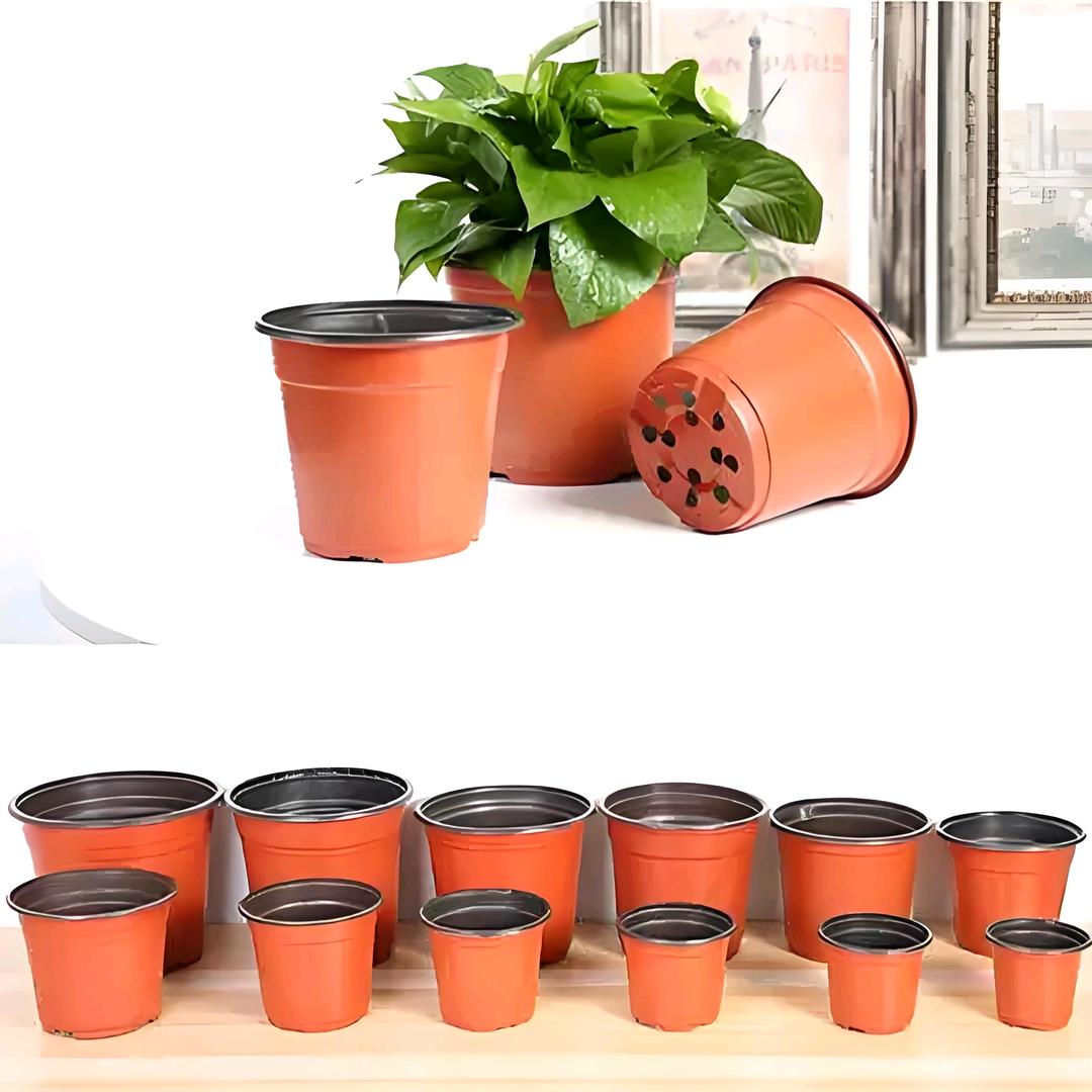 河北昌泽双色花盆、加仑盆厂家