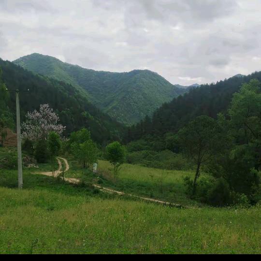 爱你永怛