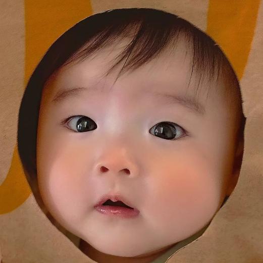 多米宝贝