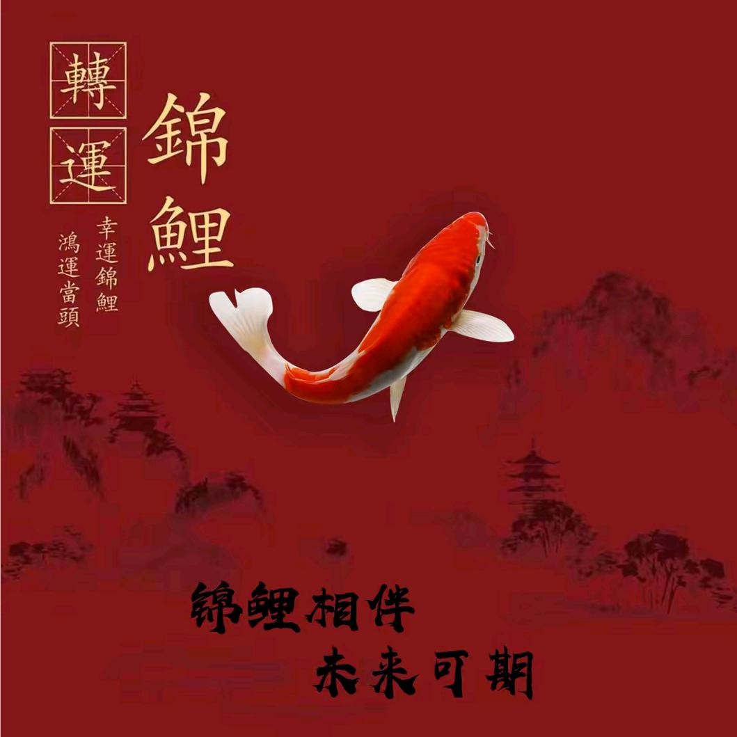 运
