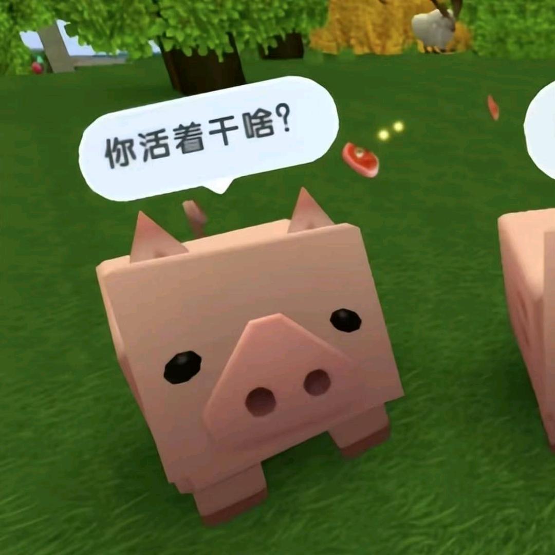 ⁺✞ʚ安安重度依赖ɞ✟₊