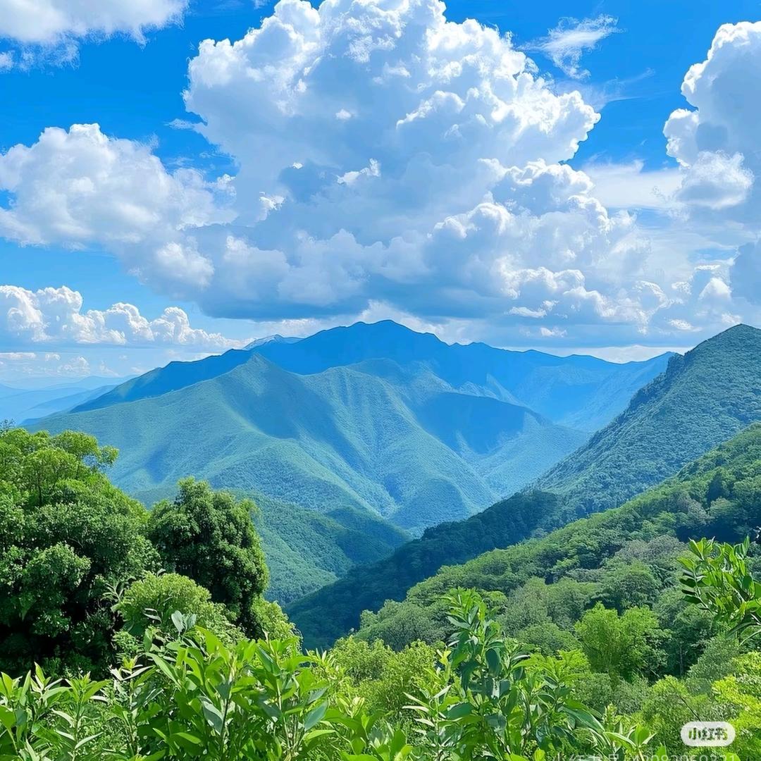 环球去野