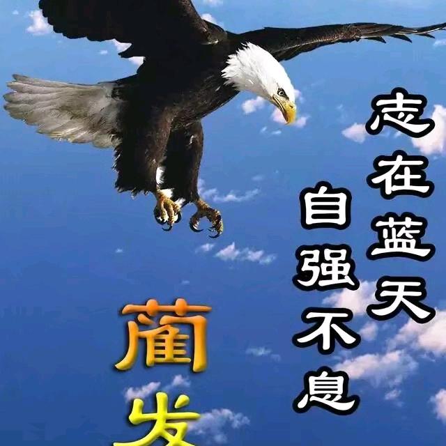 洒若能解相思苦🌱愿饮烈酒醉万回