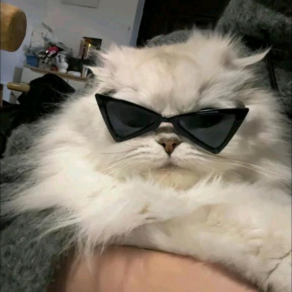 拜拜。