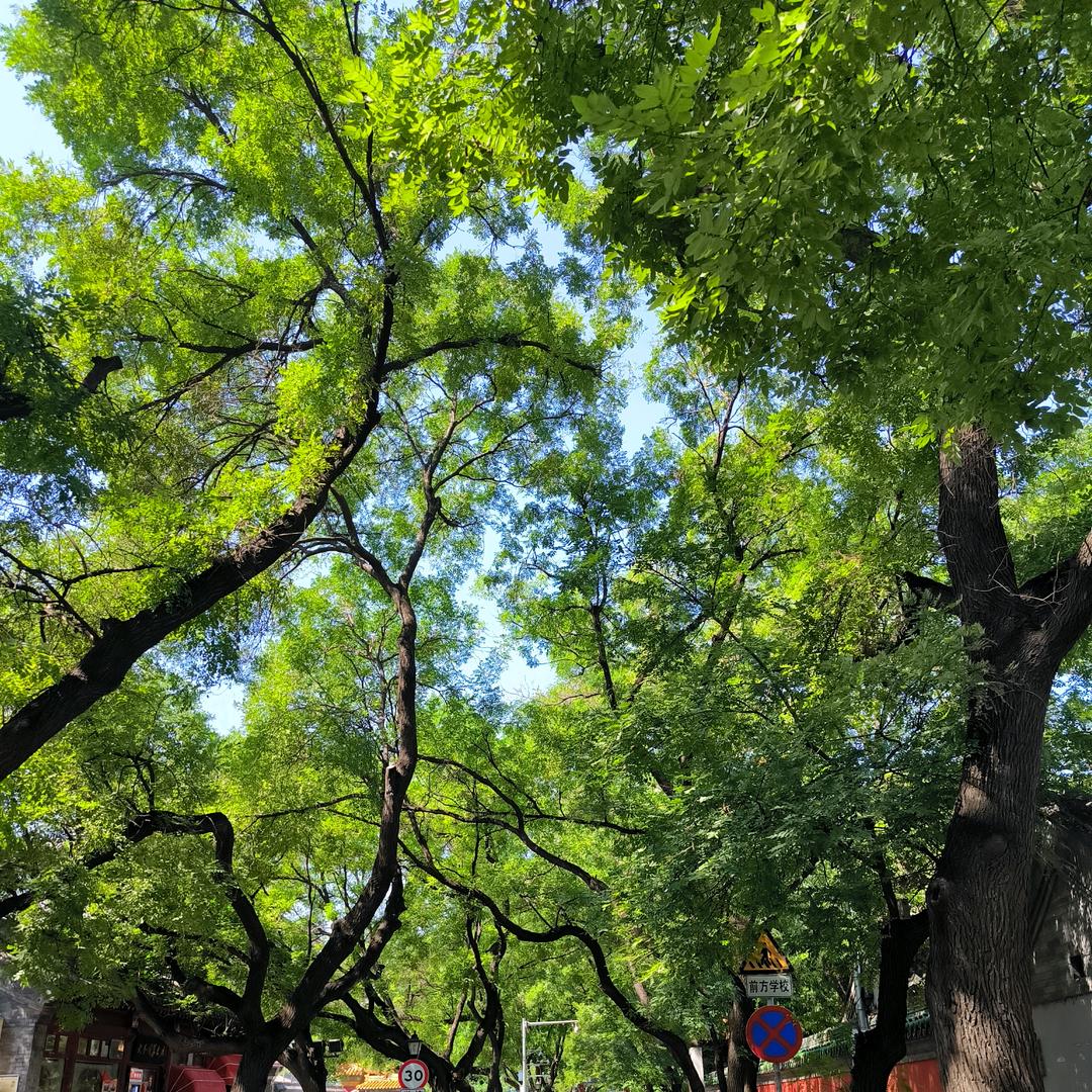 风景这边独好