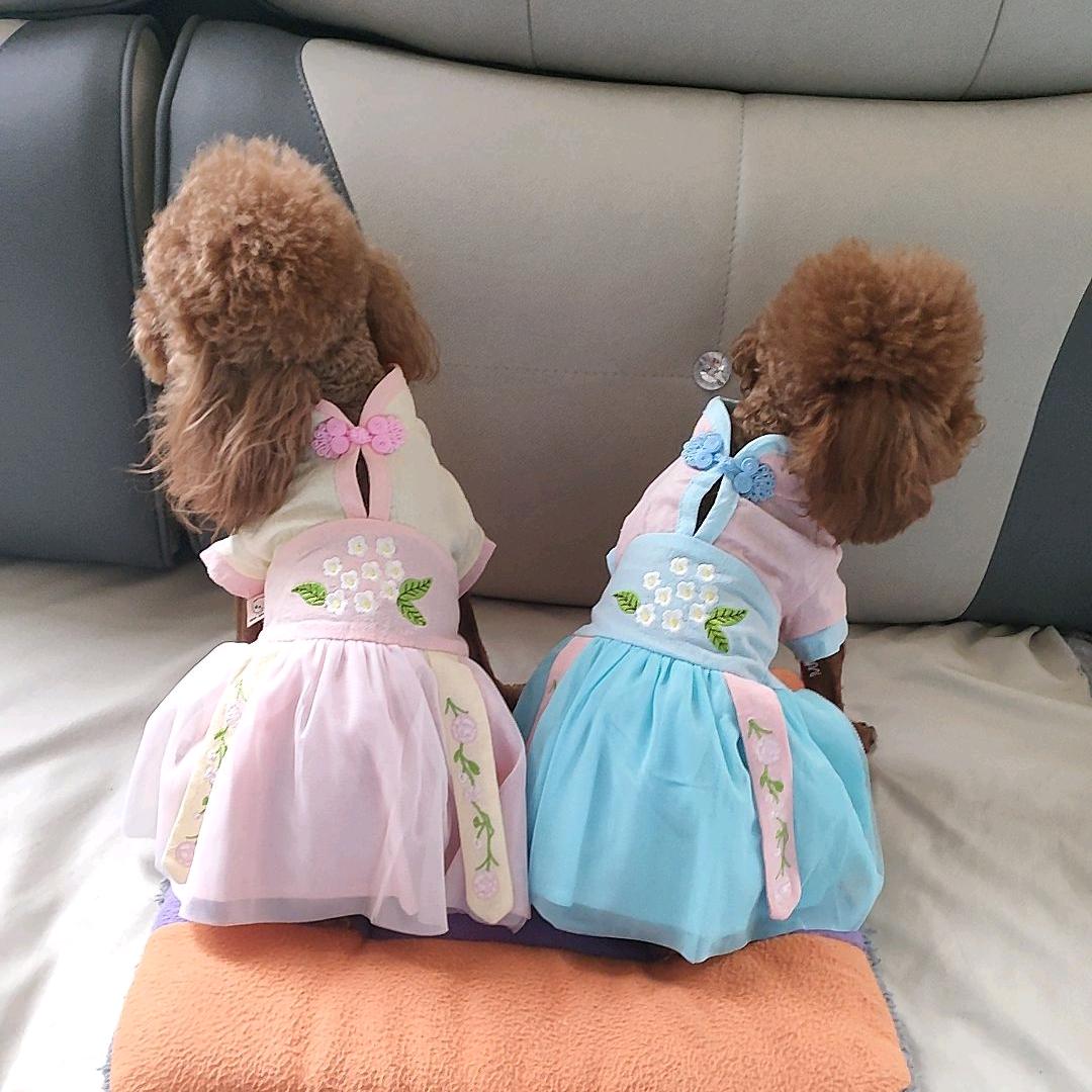 安依诺