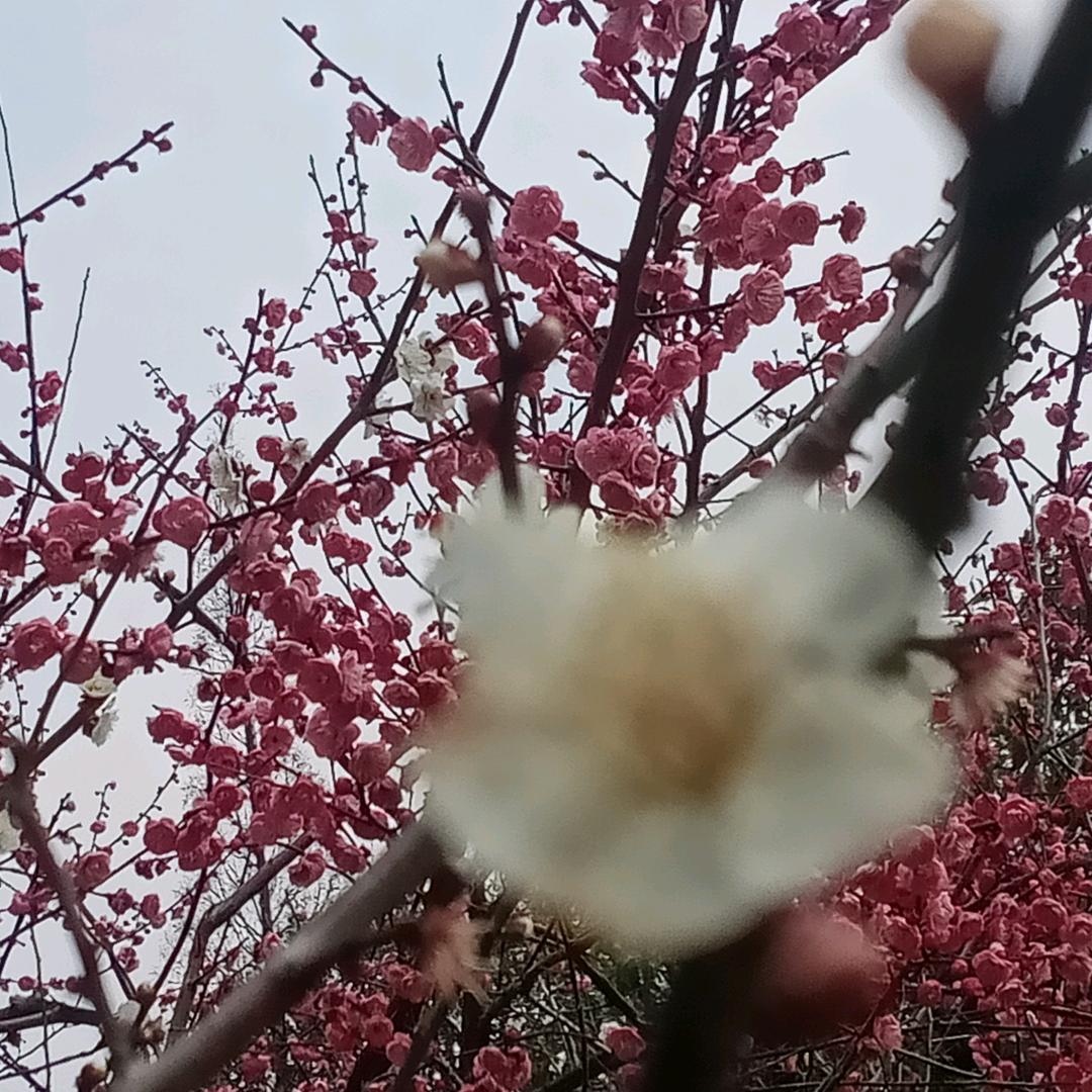 宝贝
