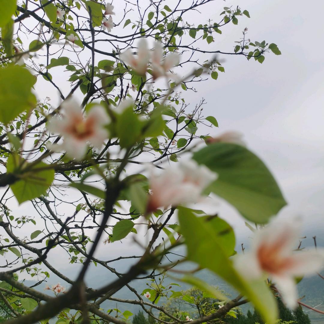 雨中漫步6407473902264