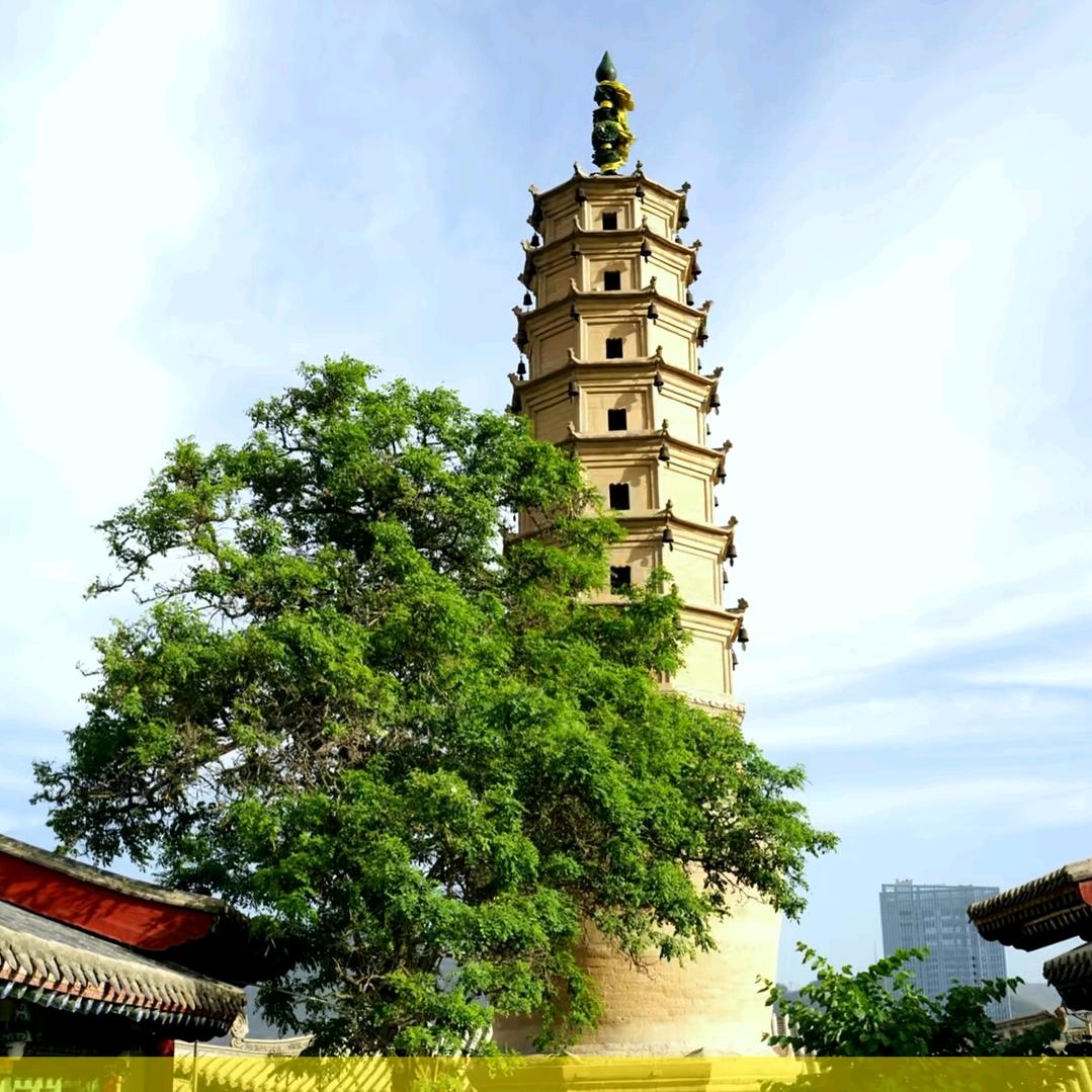 怪我太帅有人爱