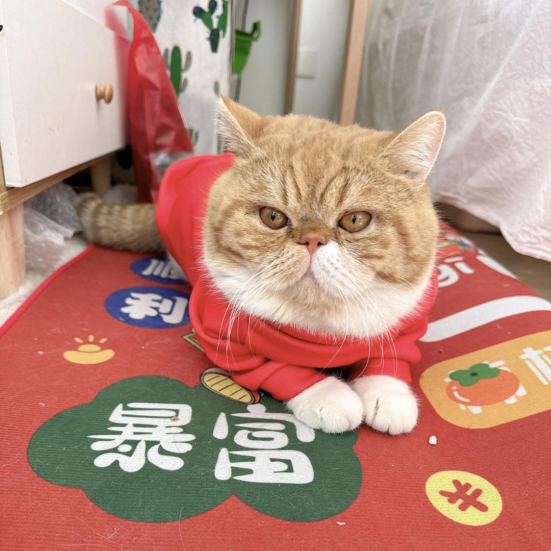 葡萄成熟时.