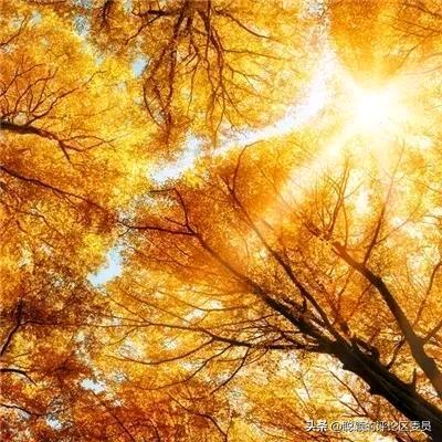 小小枝儿天上飞😀😀😀