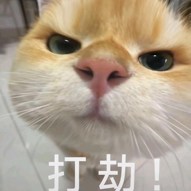 乄亣丅