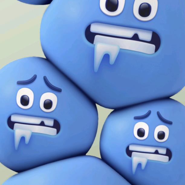 雨夜带花不带伞