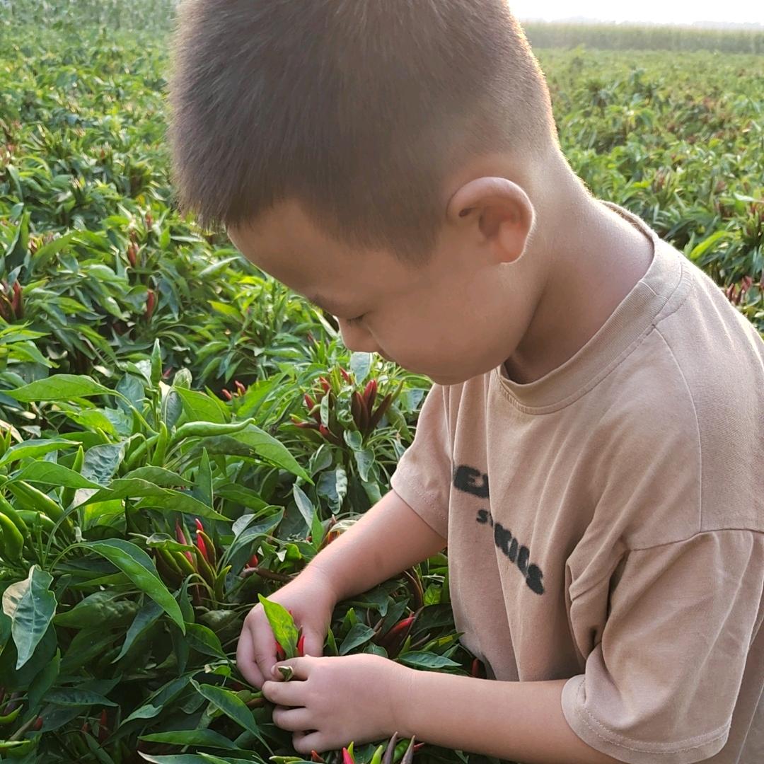 [果果妈]的乡居日常