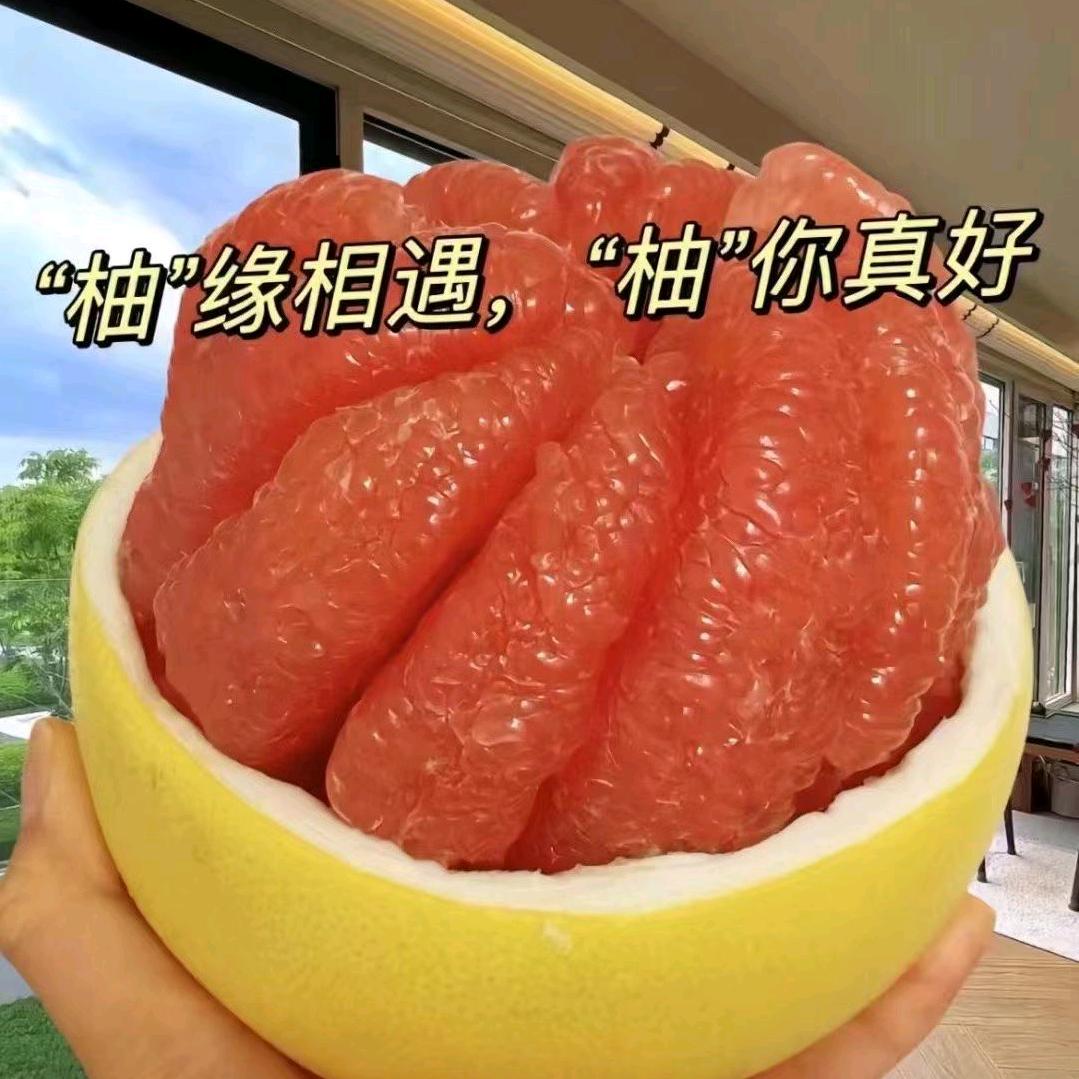 福建柚子基地🍊