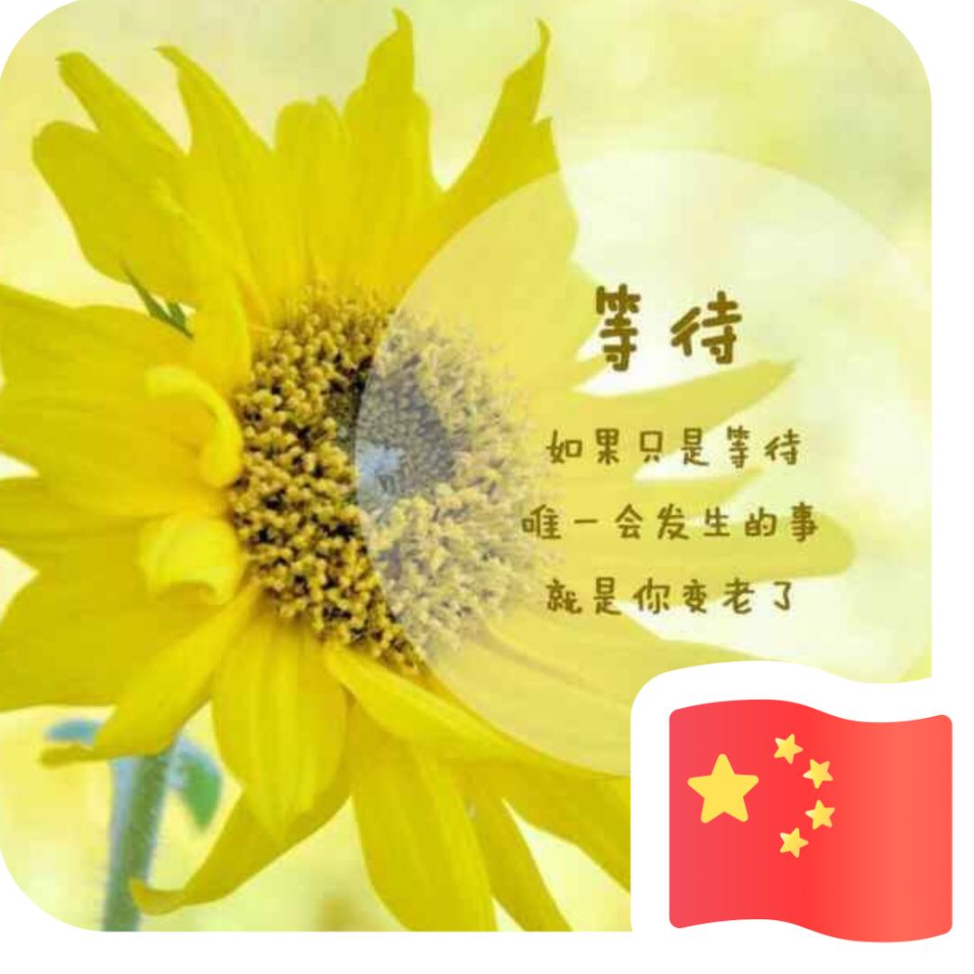 快乐123
