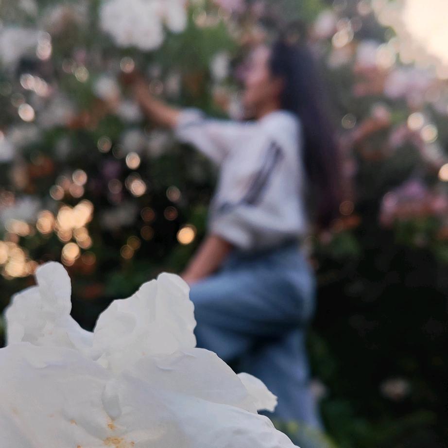 💞້໌ᮨ⃝公主ᥫᩣ໌້ᮨ請發財᭄