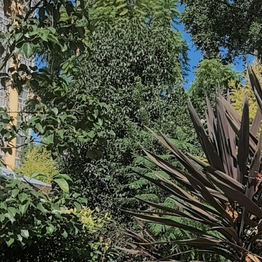 往事不回头，余生不将就