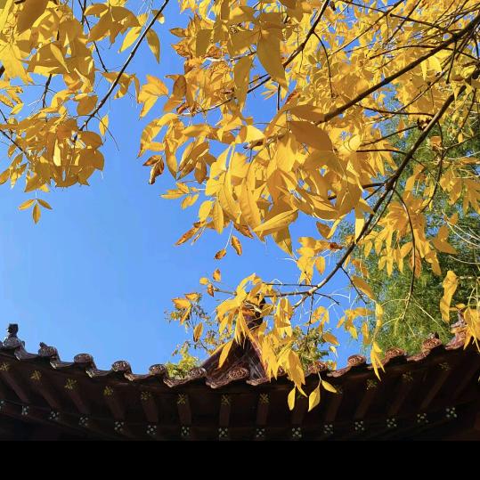 小李（每天都好命苦）