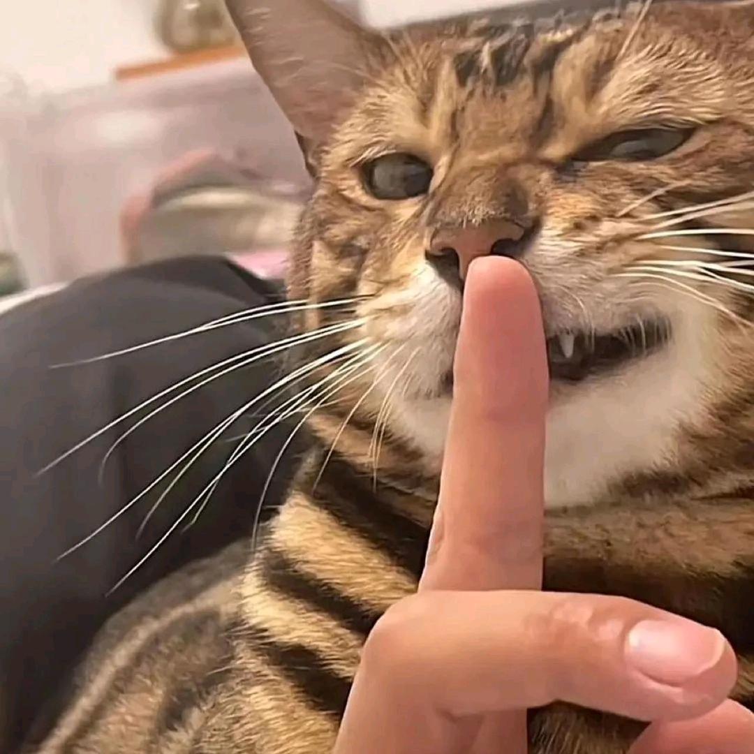 、歪比巴卜