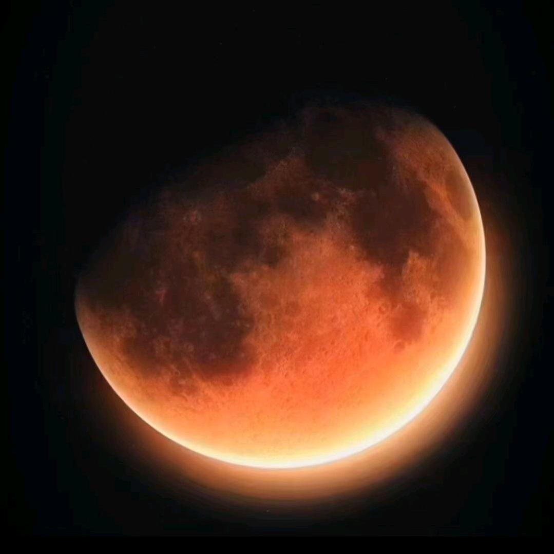 失落的星球（高清视频）