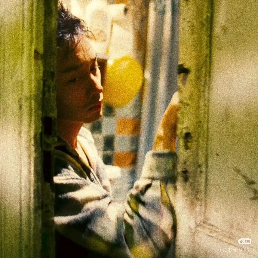 白鹤天尊 尼康📷《努力版》