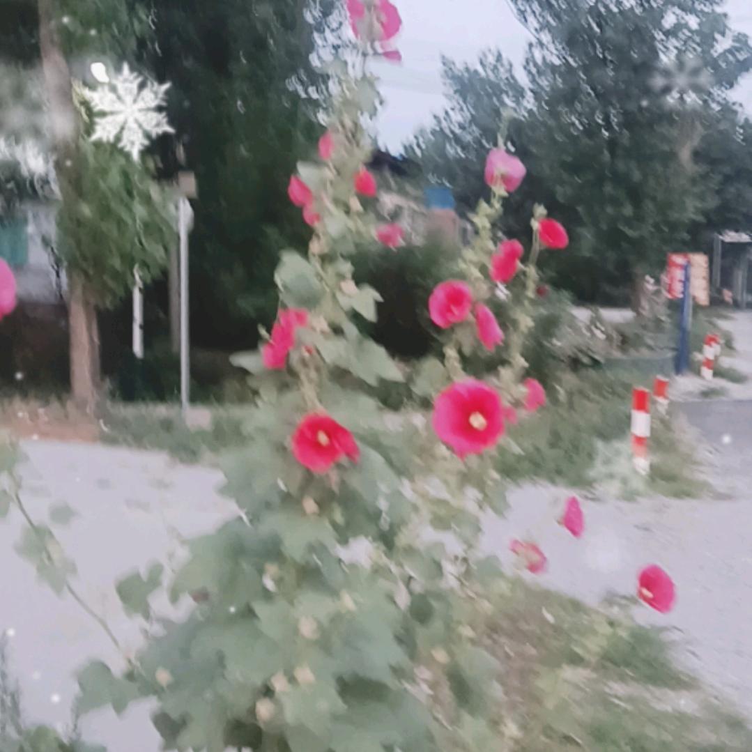 陪伴永远