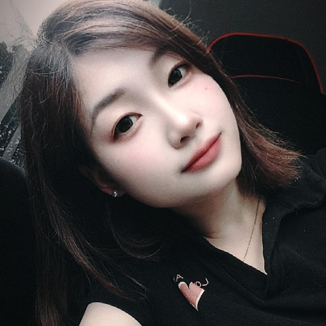 鸽子