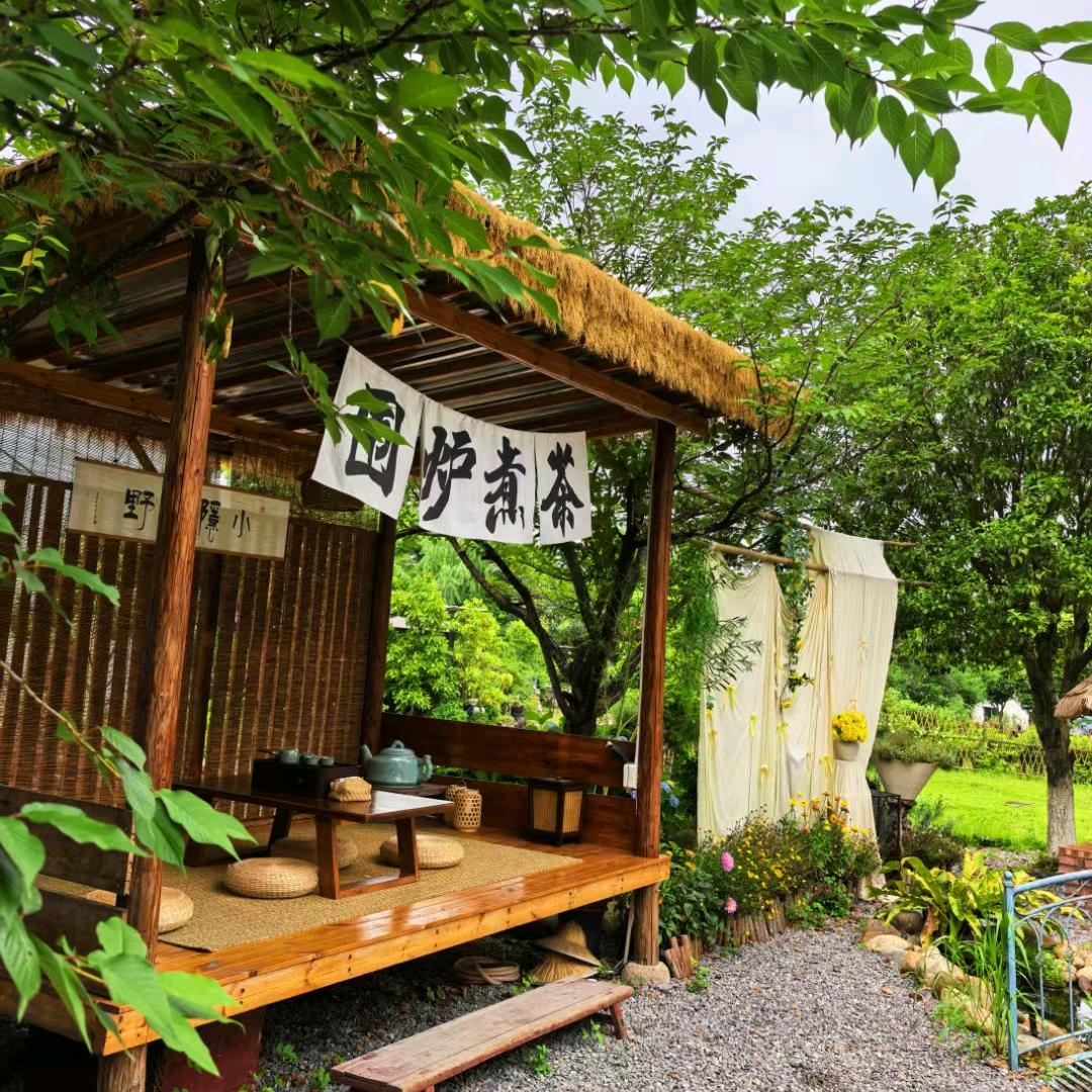 双峰绿园铁皮石斛基地