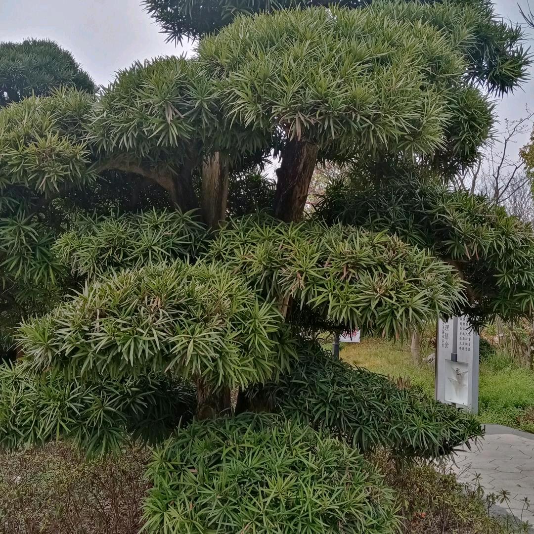 但行好事，莫问前程