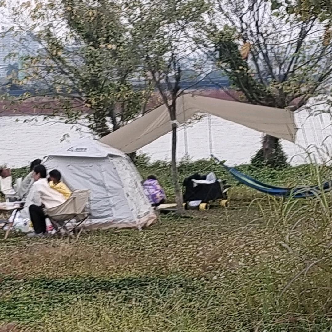 金鸡哥
