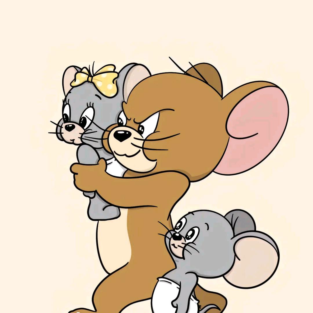 哈哈哈ꉂꉂ(ᵔᗜᵔ*)