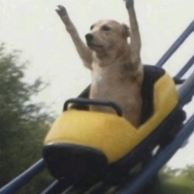 冰川里烤棉花糖的公电鳗