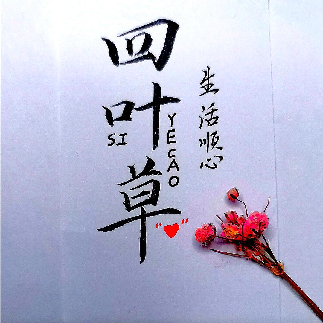 四叶草🍀🍀